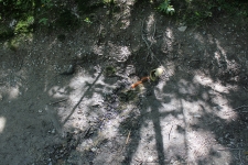 img_2515_s