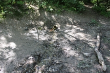 img_2516_s