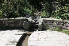 img_2520_s