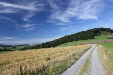 img_2617_s